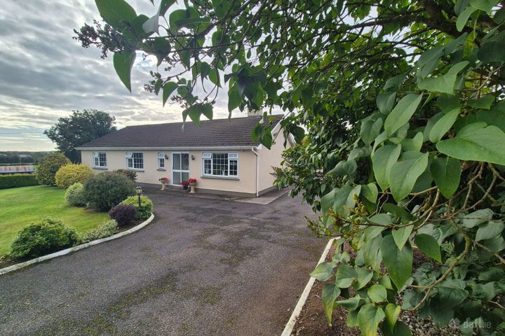 Derryguile, Mountmellick, Mountmellick, Co. Laois, R32E0F5