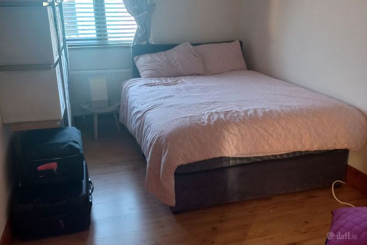 Clonbalt Wood,Longford, Longford Town, Co. Longford