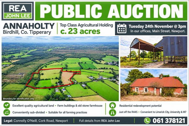 Annaholty, Birdhill, Co. Tipperary
