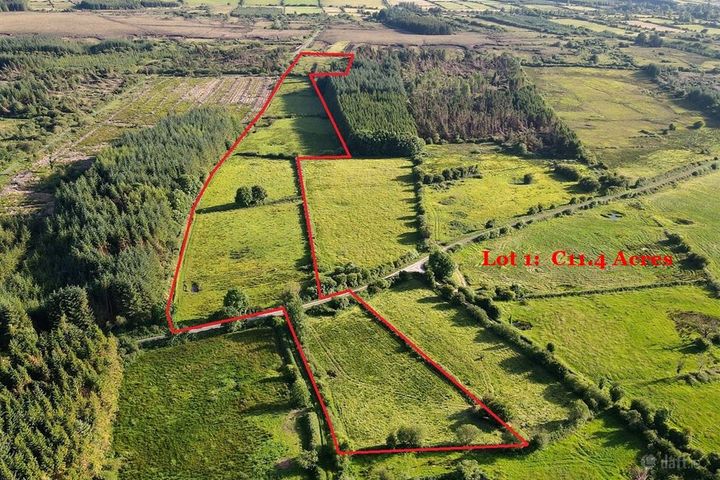 Portahard, Frenchpark, Roscommon, F45EY17