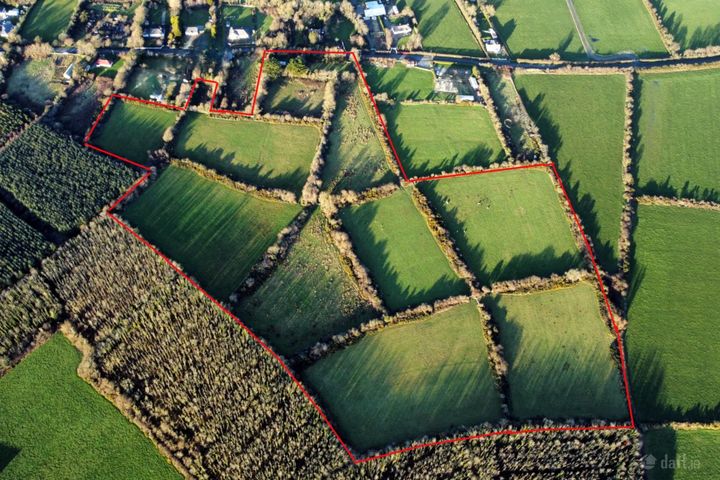 Premium c. 20.07 Acres Holding at Littletown, Tomhaggard, Co. Wexford