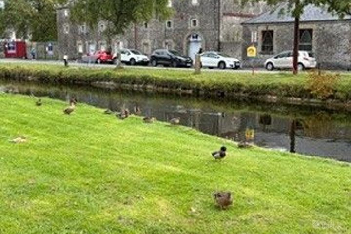 Apartment 12, Block 14, Bell Harbour, Monasterevin, Co. Kildare, W34PT92