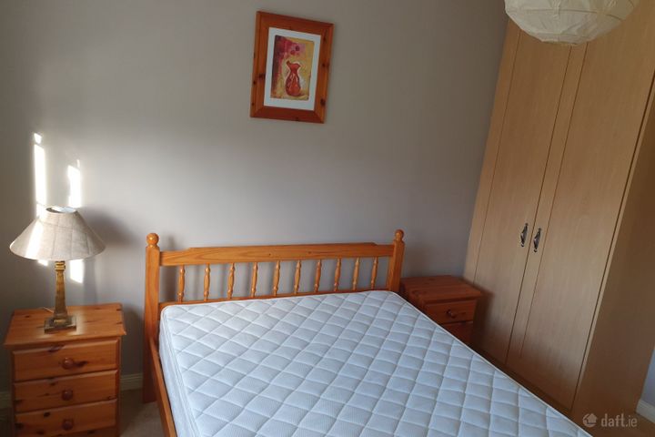 Limekiln Wood, Navan, Co. Meath