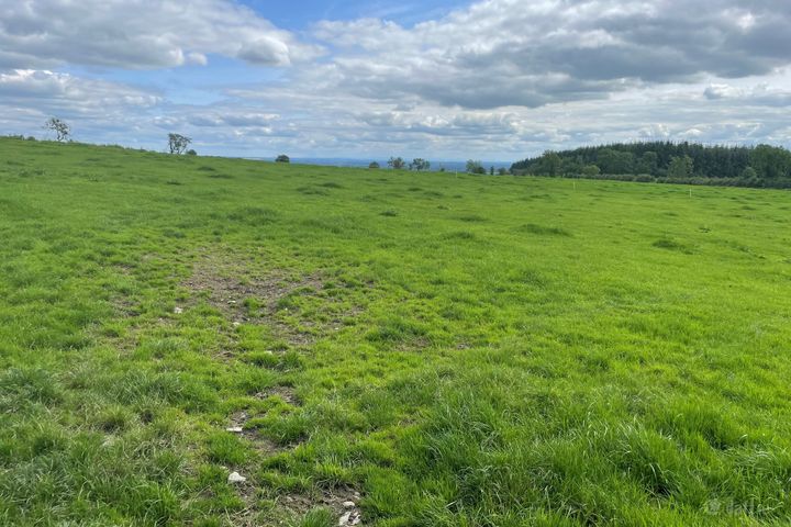 Crosserule, Ballyjamesduff, Co. Cavan