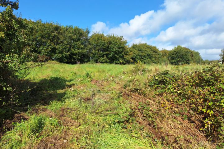 Bellfield, Claremorris, Co. Mayo
