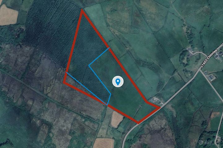 Ballybane Lower, Ballinlough, Co. Roscommon