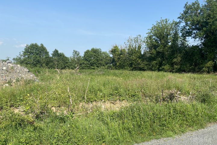 Barney, Ardagh, Co. Longford