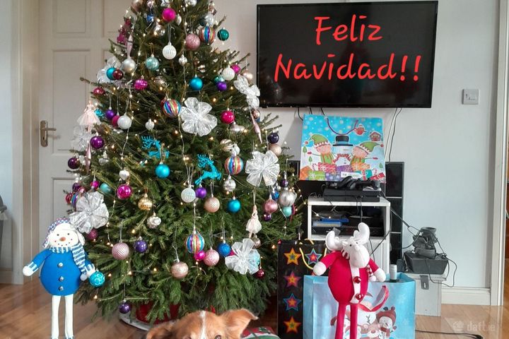 Newcastle Road, Athenry, Co. Galway