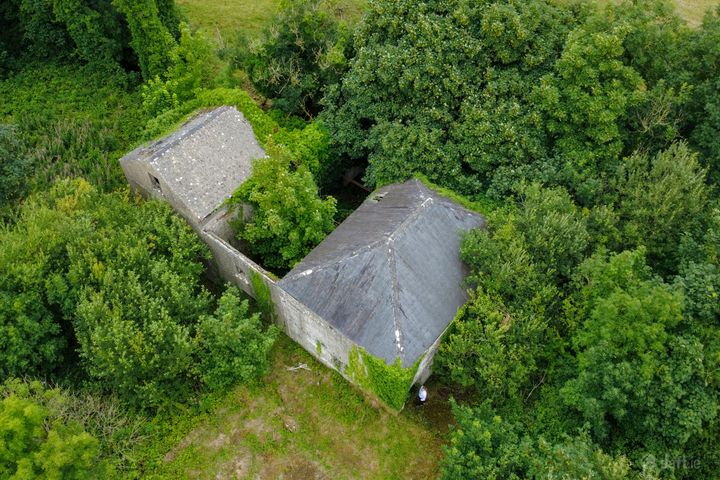 The Old Mill, Forgney, Ballymahon, Co. Longford