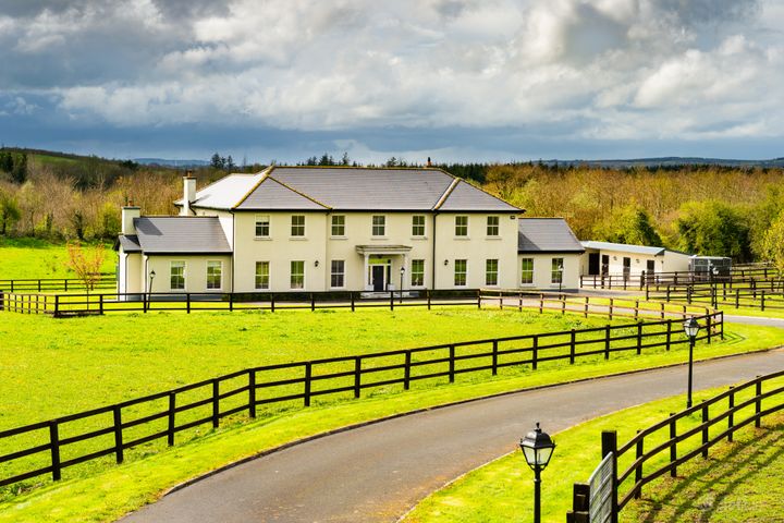 Gort na Pise, Peafield, Pike Of Rushall, Co. Laois, R32N9Y7