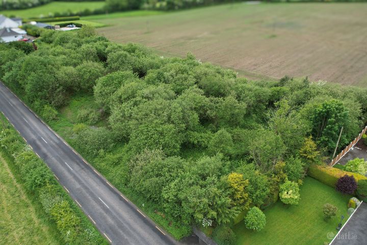 Ballycormick, Mountrath, Laois
