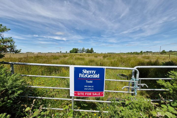 Brierfield Burke, Moylough, Ballinasloe, Co. Galway