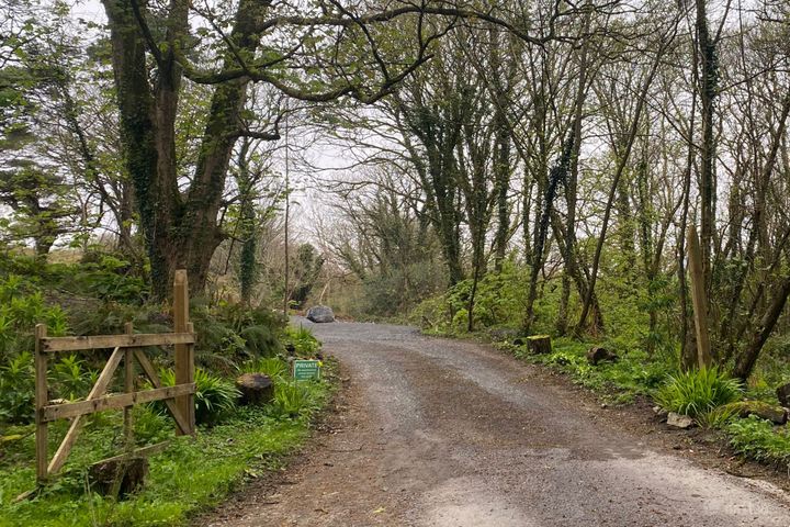 2.8 acre Site at s @ Ringroe, Nohoval, Co. Cork - Photo 2