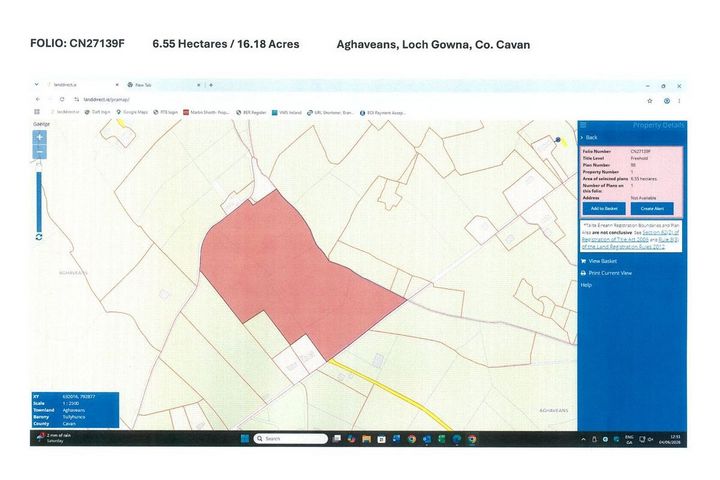 16 Acres, Lough Gowna, Co. Cavan