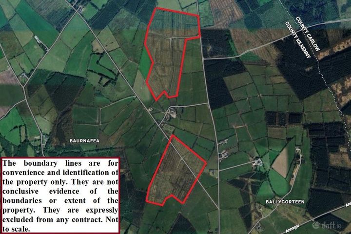 Baurnafea, Paulstown, Co. Kilkenny