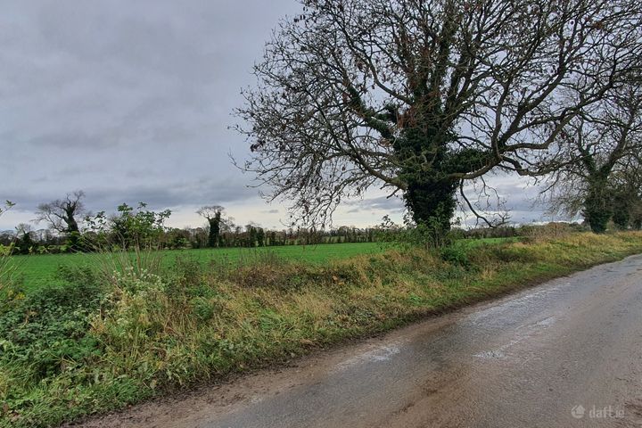 Dowthstown, Wilkinstown, Co. Meath