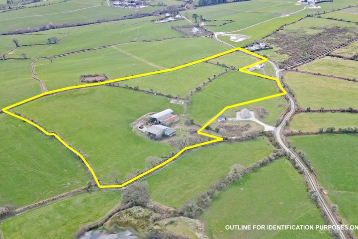 Kilmoylerane, Ballinascarty, Co. Cork