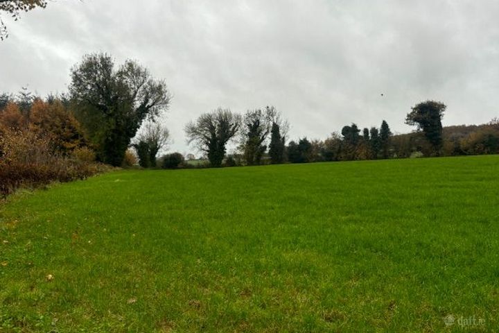 Mangan, Killane , Enniscorthy, Co. Wexford