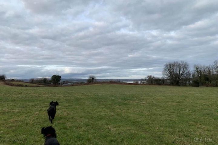 52 Acres (, 21 Ha), Aughinish, Co. Clare