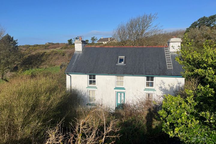 Cloughanekilleen, Goleen, Co. Cork, P81K299