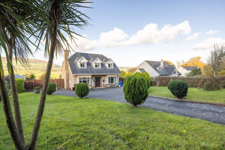 Mangan, Hollyfort, Gorey, Co. Wexford, Y25Y198