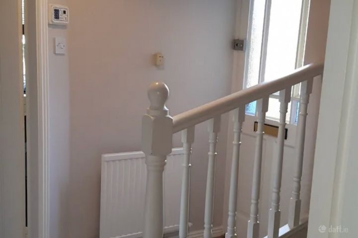 The millrace , Chapelizod, Dublin 20