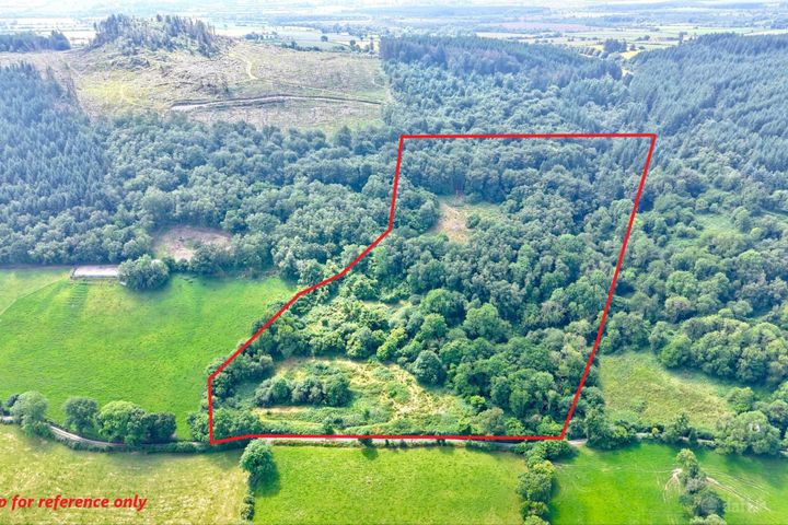 Lands At Kylatlea, Mullinahone, Co. Tipperary, E41R295