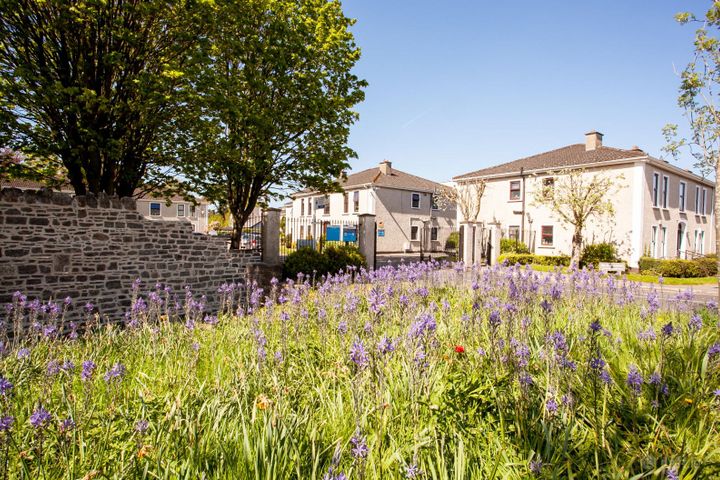 Apartment 8, Manor Court, Straffan Road, Maynooth, Maynooth, Co. Kildare, W23Y709