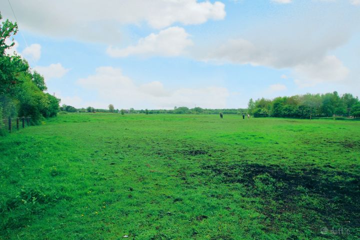 Derrycrib, Donadea, Kildare, W91VK27