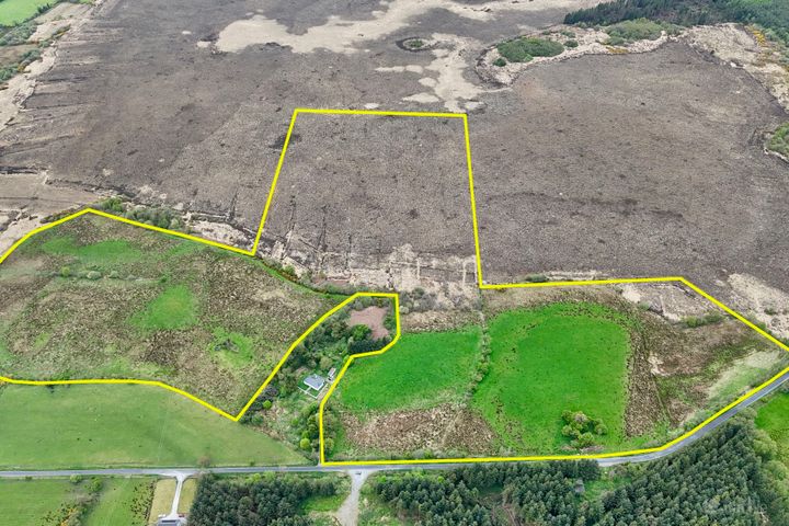 41.6 Acres (approx.) at Grange, New Inn, Ballinasloie, Co. Galway