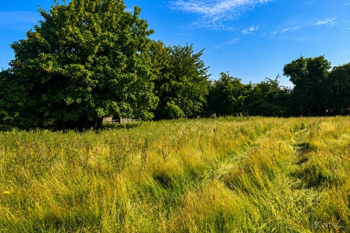 50.5 Acres, Thomastown, Kilcullen, Co. Kildare
