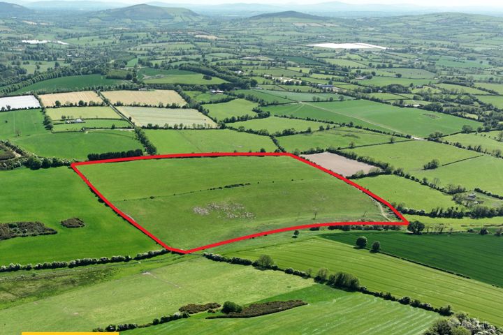 Land C. 40.75 Acres, Crookstown East, Ballitore, Co. Kildare - View 2