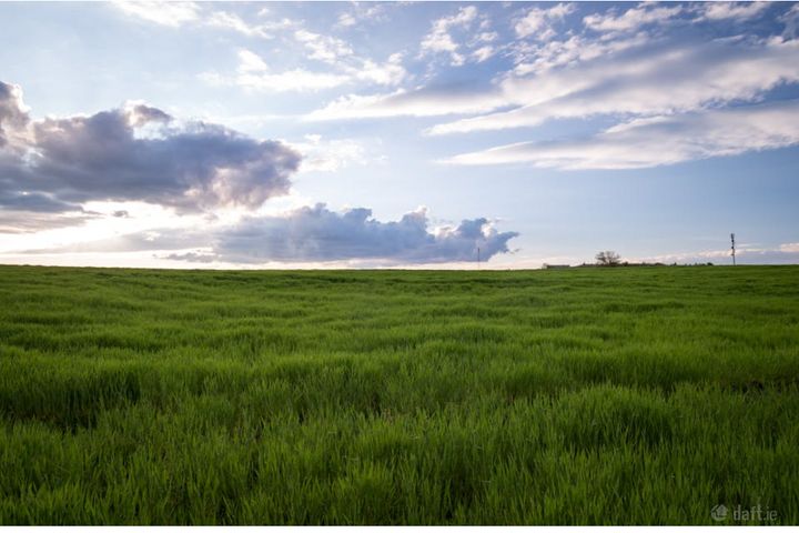 Courtbrack/grenagh area, Blarney, Co. Cork