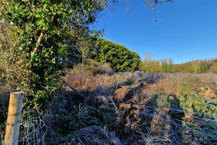 Ardnew, Longwood, Co. Meath