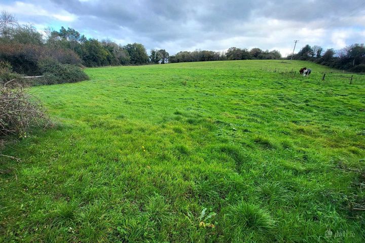 Cloonoolia South, Mountshannon, Co. Clare