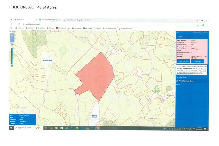 Gallon, Virginia, Co. Cavan, A82EP89