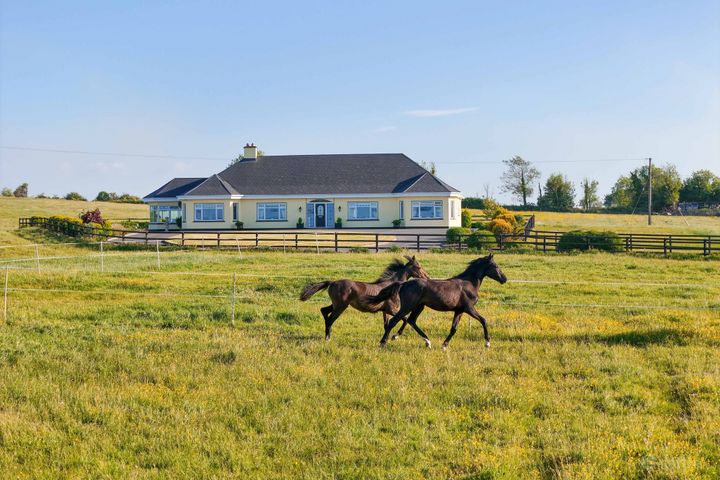 Doogary, Aghamore, Ballyhaunis, Co. Mayo, F35Y667