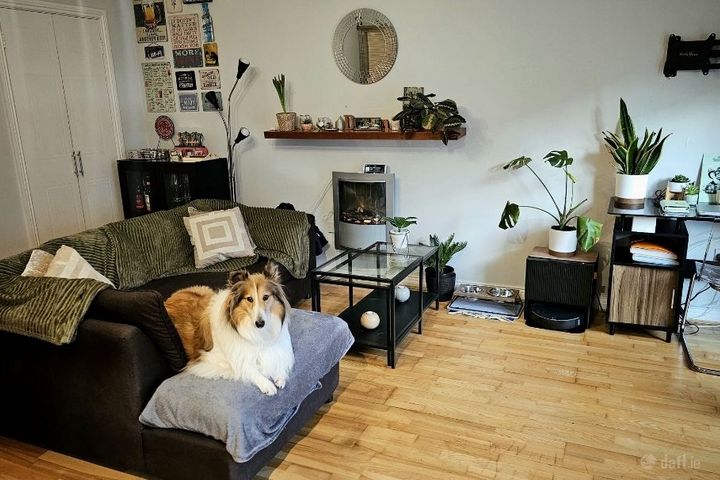 Cook Street,Dublin 8, Christchurch, Dublin 8