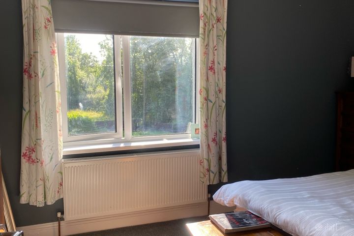 Main road, Castleconnell, Co. Limerick