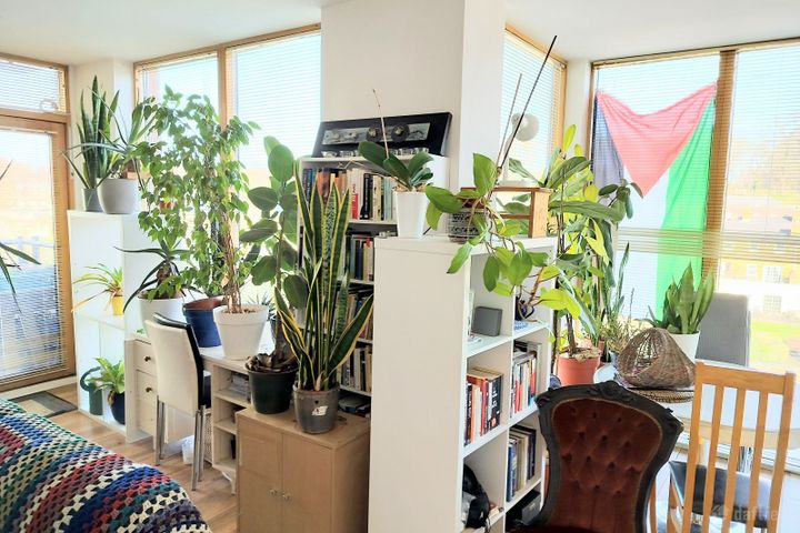 Clancy Quay, Islandbridge, Dublin 8