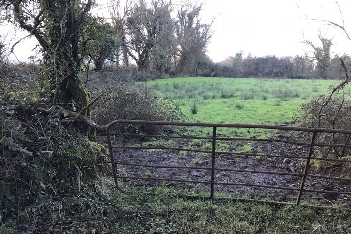 Carrowreagh, Milltown, Co. Galway