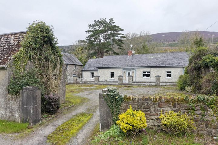 Shanbally, Ballypatrick, Clonmel, Co. Tipperary, E91EP04