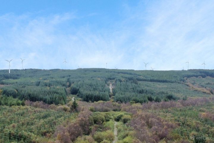 Forestry Land, Cappagh, Kilflynn, Co. Kerry