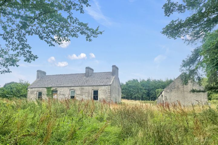 Tullagower, Cooraclare, Kilrush, Co. Clare, V15H324