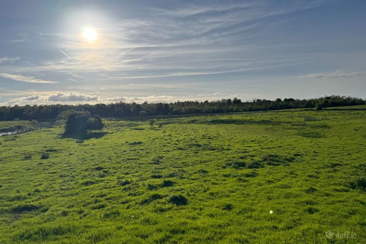 Hollymount Demense, Hollymount, Co. Mayo