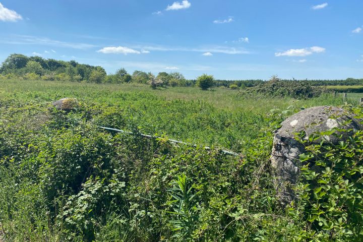 Swordlestown South, Naas, Co. Kildare