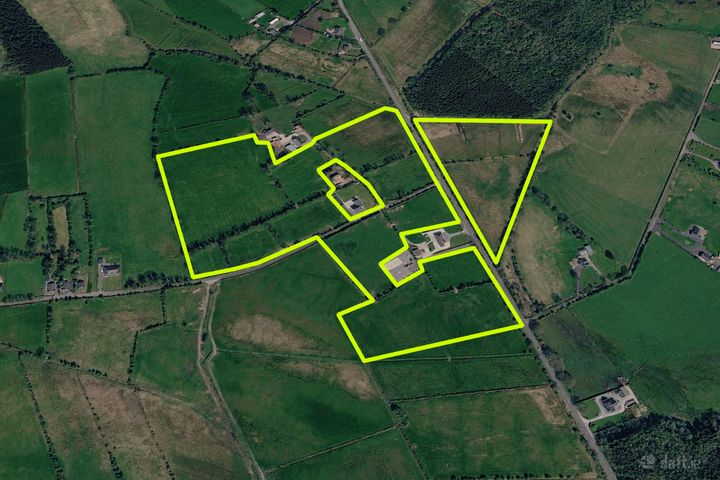 22 Acres (approx.) of Meadow/Silage To Let at Ballymartin More, Roscommon Town, Co. Roscommon
