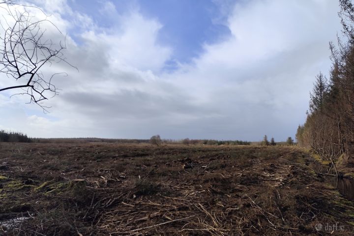 Shragh, Kilrush, Co. Clare, V15F867