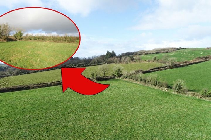 Mossgrove, Bandon, Co. Cork