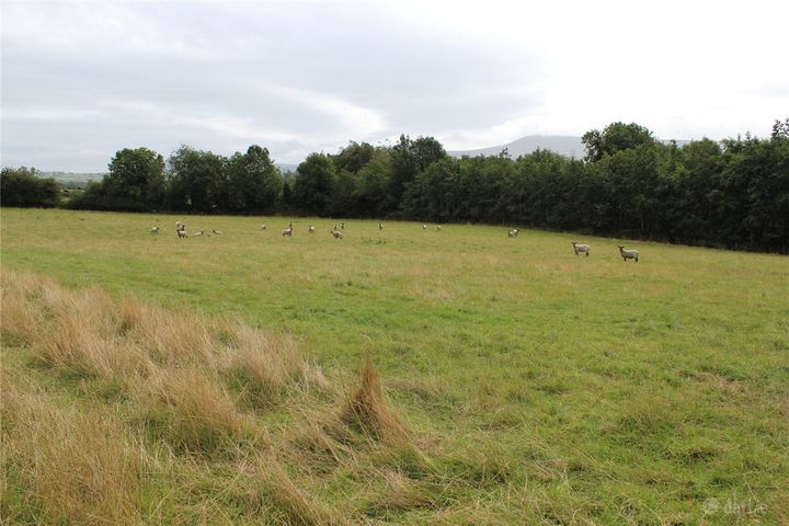 Sites For Sale, Corrie Beg